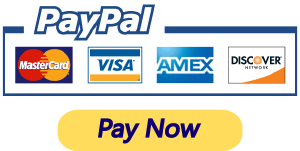 PayPal Pay Now